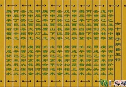 纳音五行准还是五行准