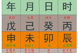 八字中宫位的看法技巧