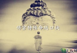 ​伤官特性命运口诀