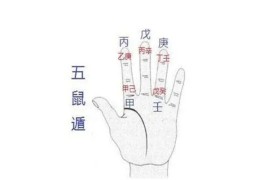 五鼠遁口诀怎么用