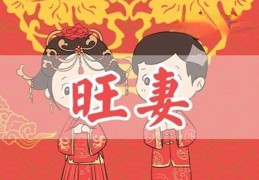 哪种男命需要靠老婆旺财运（哪种男命需要靠老婆旺财运呢）