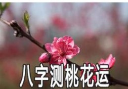 八字中的桃花是怎么查的