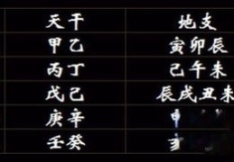八字喜用神择日（八字喜用神择日法）