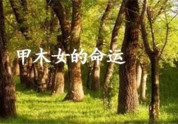 ​甲木女命好吗