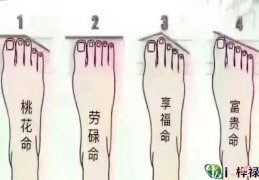 劳碌命的脚相特征