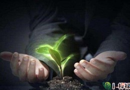 天生财运充沛的八字，八字看财运好坏的方法