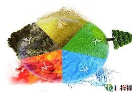 如何测生辰八字五行缺什么