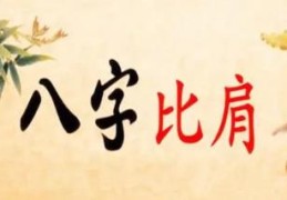 八字比肩过旺怎么影响，要怎么化解