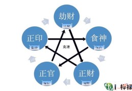 ​八字月干十神详解