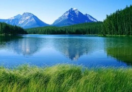 一生光棍的八字特征