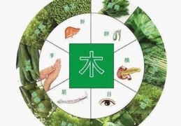 八字缺木对健康的影响