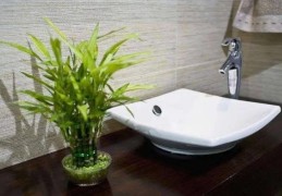 住宅西北角是厕所如何化解