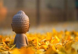 八字格局清纯特点