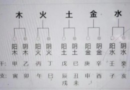 天干地支与五行的关系