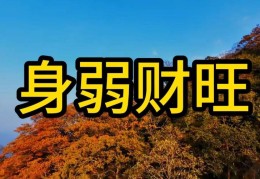 八字身旺的看法，身旺运财运如何看