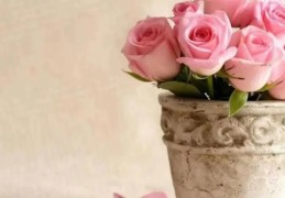 八字日坐伤官代表婚姻好吗