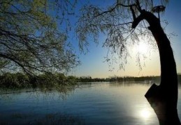 丁巳生在卯月的人好吗