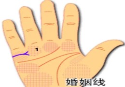 婚姻线分叉会离婚吗