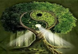 八字分析如何判断格局