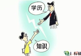 学历高的八字特点
