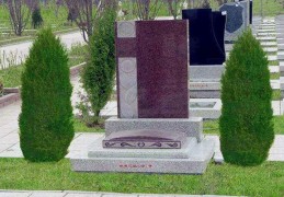 坟地栽树风水讲究