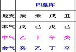 八字中出现四墓库代表什么