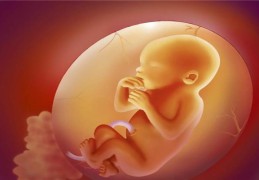 ​胎元八字看命运