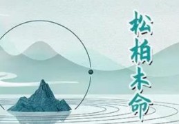 松柏木的男命事业如何