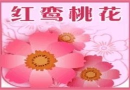 羊刃驾杀成立条件（羊刃驾杀成立条件八字）