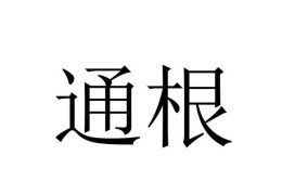 八字十神通根是啥意思