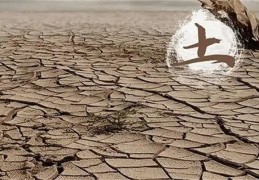 土命的男人命运好不好（土命的男人命运好不好呢）