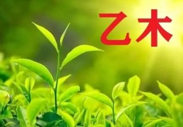 乙木日元的人喜忌如何看