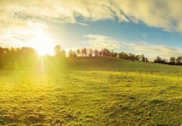 八字盲派断命一柱香金口诀