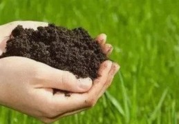 土命人吉利颜色是什么