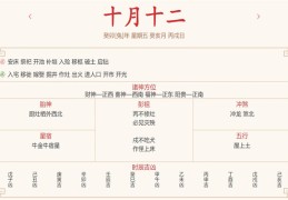 每日运势解读：2023年11月24日穿衣指数