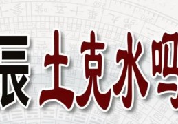八字地支辰土克水吗