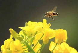 无财库照样富贵的八字（无财库的八字是不是注定穷一辈子）