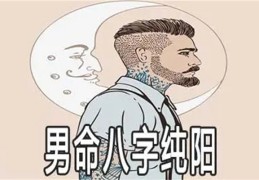 纯阳八字的男人好不好（纯阳八字男人你们遇到过么）