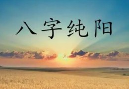 八字纯阳的特点有哪些