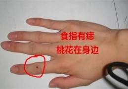 如何看手相桃花