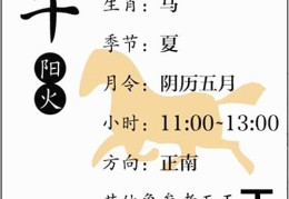 八字基础知识：十二地支、午火