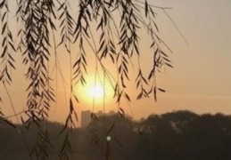 杨公日格凶断秘诀