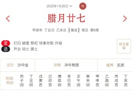 2025年1月26日每日五行穿衣指数解读搭配