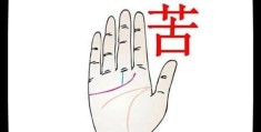 最能吃苦的手相特征
