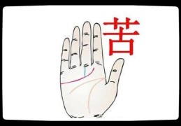 最能吃苦的手相特征
