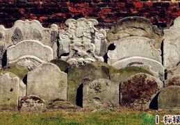 坟前最好不要放的东西