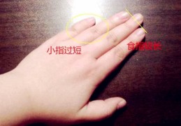 手相小拇指看性情特征