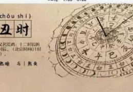 ​哪个日元出生于丑时的命好