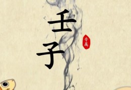 壬子日出生的人命好吗，壬子日各个时辰吉凶