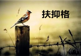 扶抑格是什么意思，扶抑格的命好吗